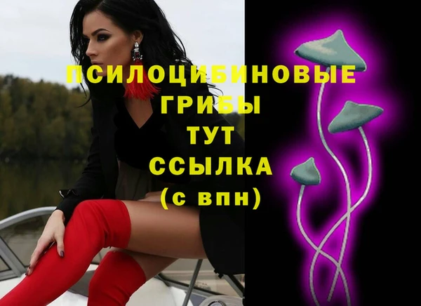 кокс Корсаков