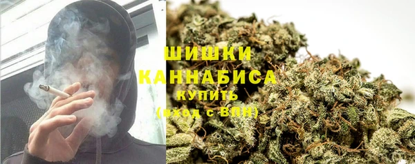 кокс Корсаков