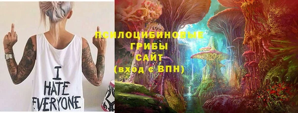прущая мука Коряжма