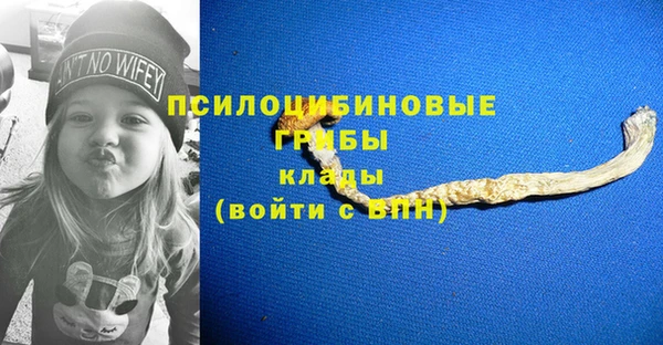 прущая мука Коряжма