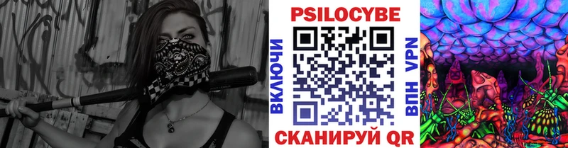 Купить закладки  Горбатов  Галлюциногенные грибы мицелий 